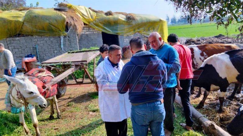 لجان التطعيم