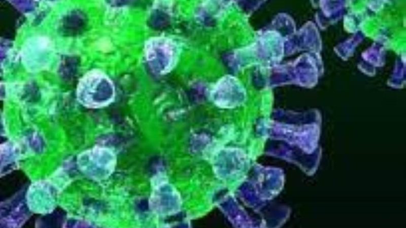 سلالة جديدة