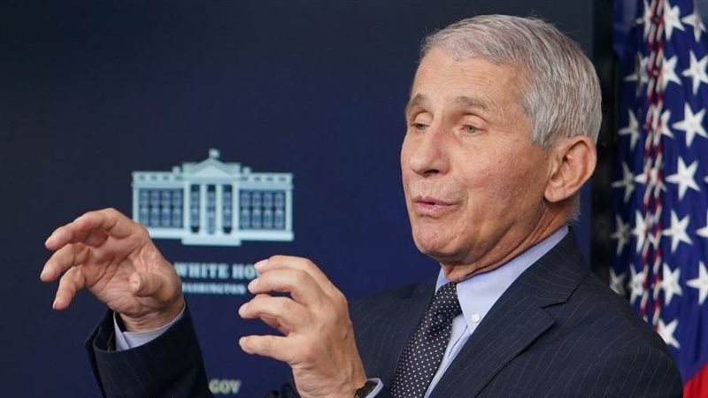 أنتونى فاوتشى كبير