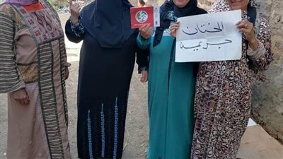 لليوم الثالث.. تضامن الدقهلية تواصل حملتها لمناهضة العنف ضد المرأة