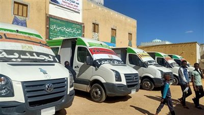 الصحة: تقديم الخدمات العلاجية مجانا لـ10 آلاف مواطن في أسوان 