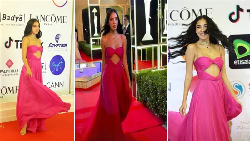 الفنانة سلمي أبو