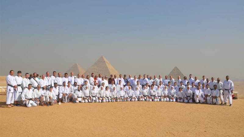 الوفود المشاركة في