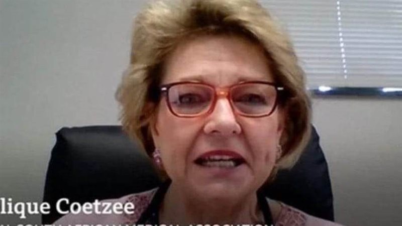 انجليك كورتزن