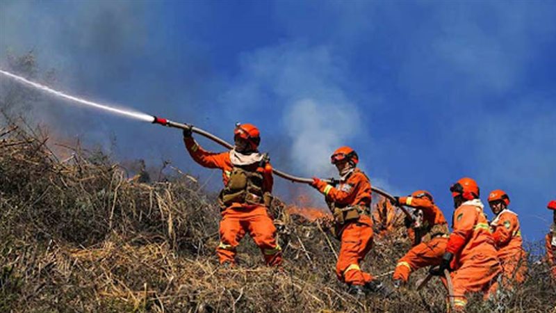 صورة أرشفيه