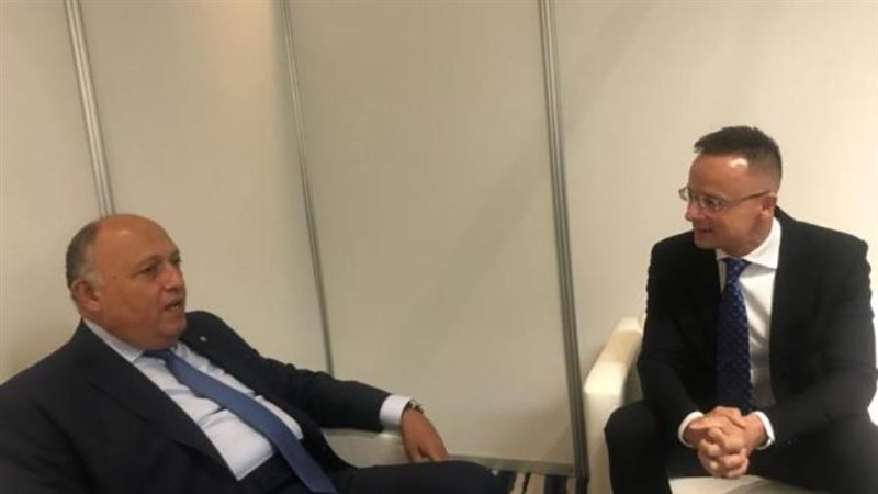 شكرى ونظيره المجري