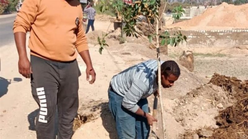 من جانب الزراعة