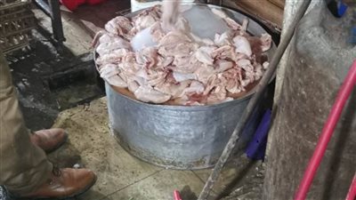 صحة الشرقية.. إعدام 4 أطنان أغذية فاسدة وغلق 20 منشأة بمختلف مراكز الشرقية.. (صور)