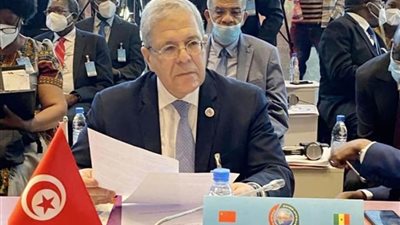 تونس: نبذل كل ما في وسعنا لتوصل مصر والسودان وإثيوبيا إلى حل توافقي حول تقاسم مياه النيل