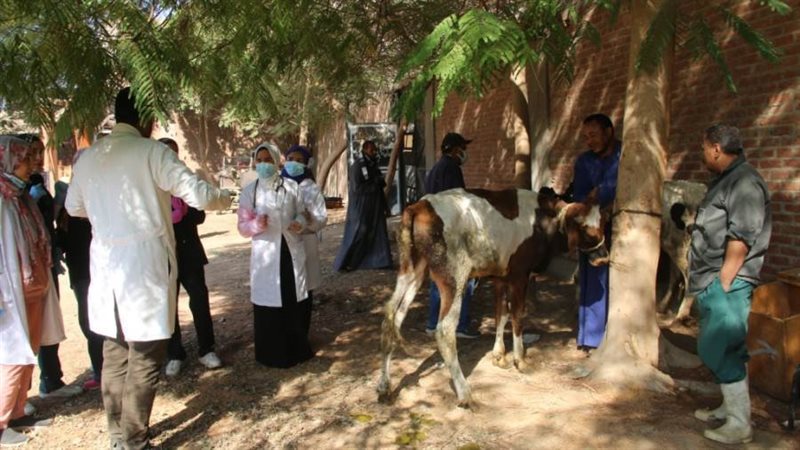 حملة بيطرية مجانية