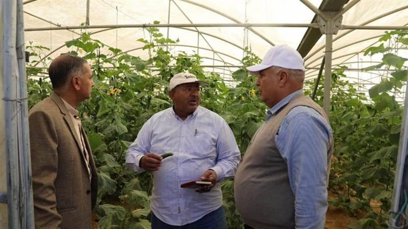 محافظ الوادي الجديد