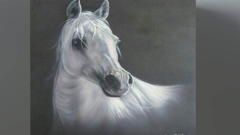 الخيل العربي بريشة