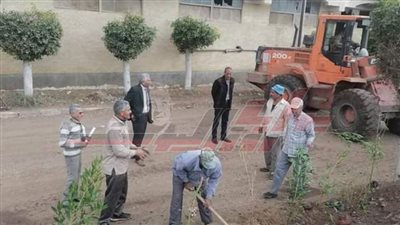 حملات مكبرة لزراعة الأشجار بمدينة قلين في كفر الشيخ