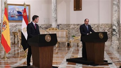 الرئيس السيسي يؤكد على رؤية مصر لأهمية العمل على معالجة بؤر التوتر بالمنطقة