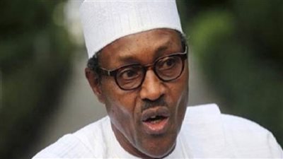  الرئيس النيجيري يلتقي بنظيره الجنوب أفريقي