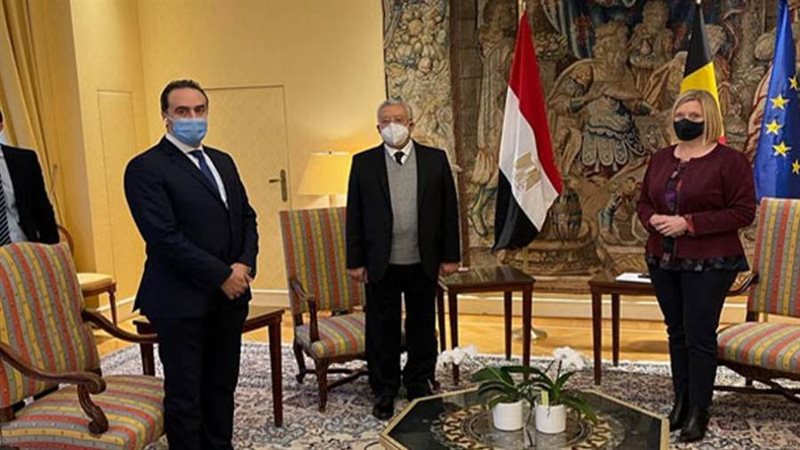 المستشار الدكتور