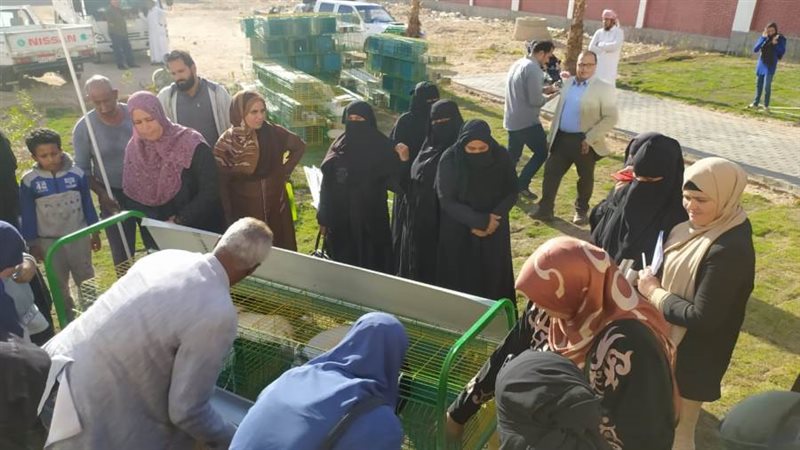 دعم المرأة المعيلة