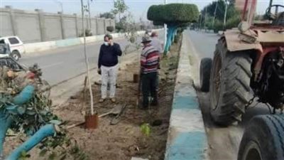 رفع الإشغالات واستمرار حملات النظافة لشوارع الشرقية 