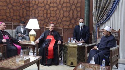 شيخ الأزهر: لن يستقر العالم باقتصاد السلاح وإشعال الحروب وإنما بالأخوة والحوار