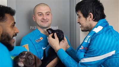 شاهد.. لاعبو زينيت يدخلون الملعب حاملين كلابا مشردة 