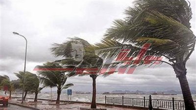 رياح ما بين متوسطة وخفيفة تضرب كفر الشيخ