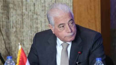 محافظ جنوب سيناء يتفقد عددًا من المشروعات التنموية بطور سيناء