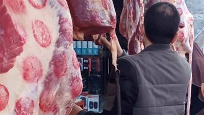 تحصين 38 ألف رأس ماشية ضد الحمى القلاعية وحمى الوادي المتصدع بالبحيرة