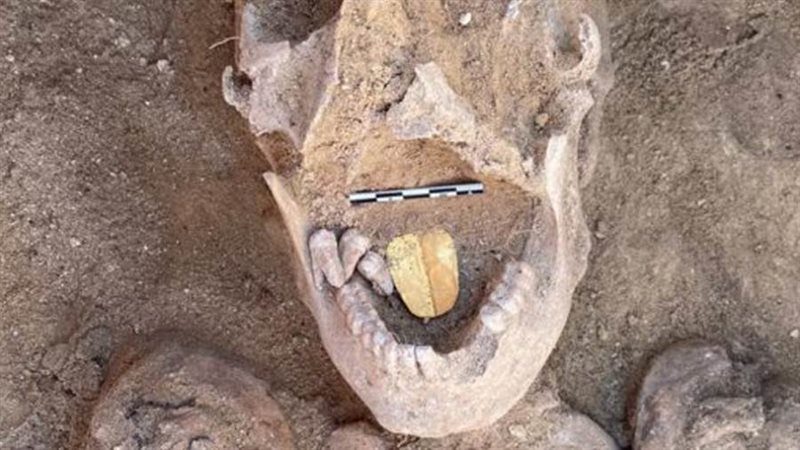 الرجل صاحب اللسان