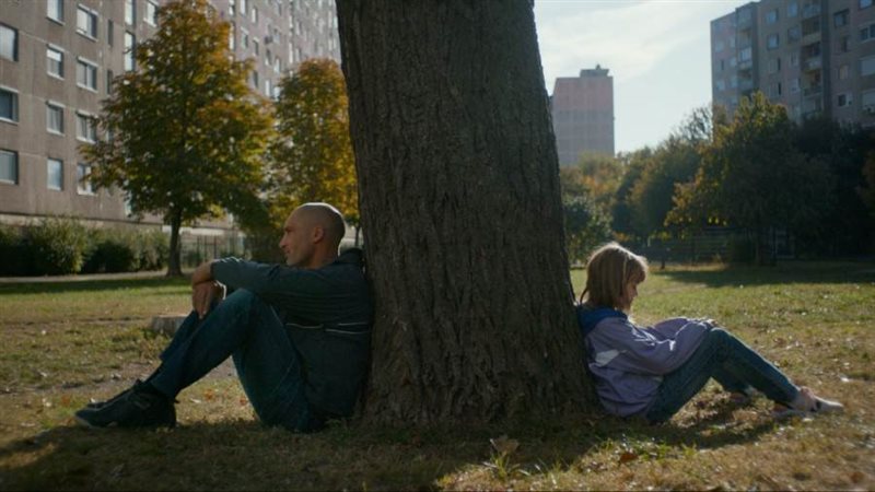 فيلم جزور برية