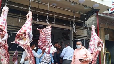 محافظ الإسكندرية يشدد على رؤساء الأحياء باستمرار تطبيق الإجراءات الاحترازية