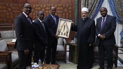 الإمام الأكبر: حريصون على تعزيز التعاون العلمي والدعوي مع جيبوتي