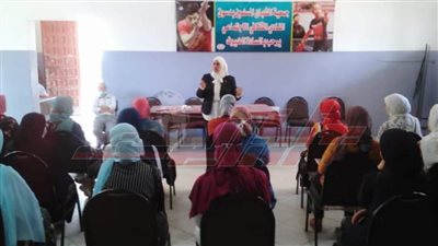 ندوة جديدة حول قضية مناهضة العنف ضد المرأة بتضامن كفر الشيخ