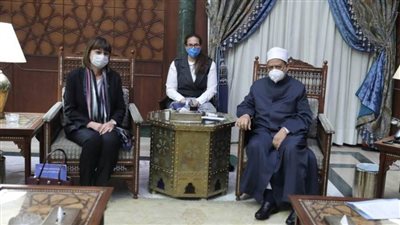 الإمام الأكبر: الحلول المقدمة من الغرب لمشكلاتنا تشوه ثقافتنا وتخلق صراعًا جديدًا