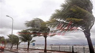 عواصف ترابية ورياح شديدة السرعة تضرب كفر الشيخ