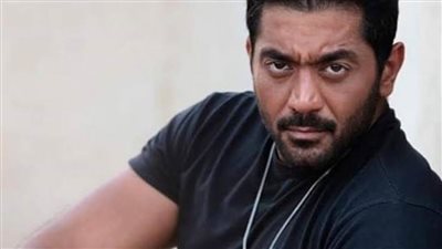 ٤ يناير الحكم في استئناف فلوكس على حبسه سنتين لسب وقذف لاعبة سلة