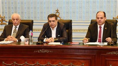 رئيس لجنة الصحة بالشيوخ: القضية السكانية على أولويات اللجنة الفترة القادمة