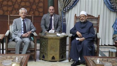 شيخ الأزهر: قلقون من تعمد بعض السياسيين الإساءة للإسلام كأداة لجلب الأصوات