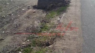 حملات مكبرة لرفع كفاءة الخدمات والمرافق بكفر الشيخ