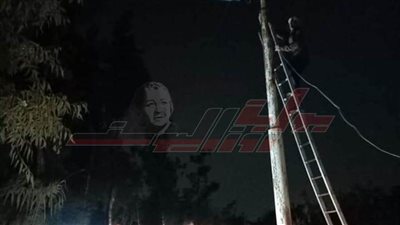 بسبب الطقس السيئ.. فرع شجرة يقطع سلك كهرباء بـ