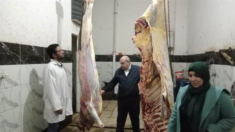 جانب من الحملة