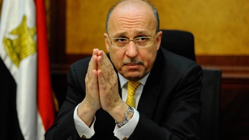 د. عادل عدوي وزير