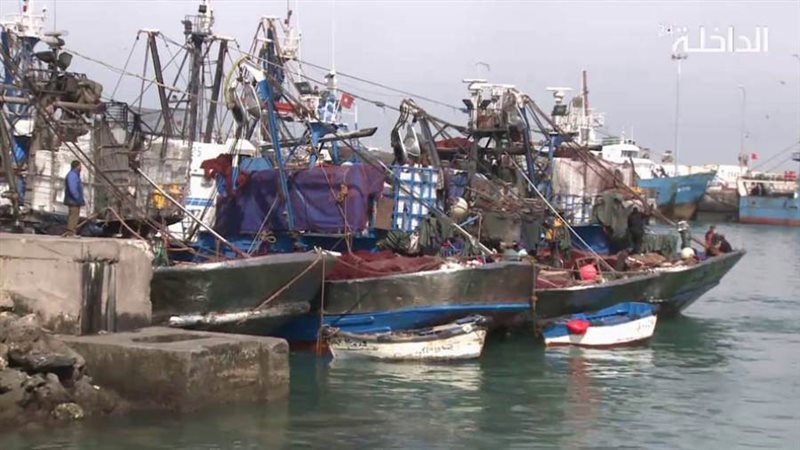 بوغاز الصيد بعزبة