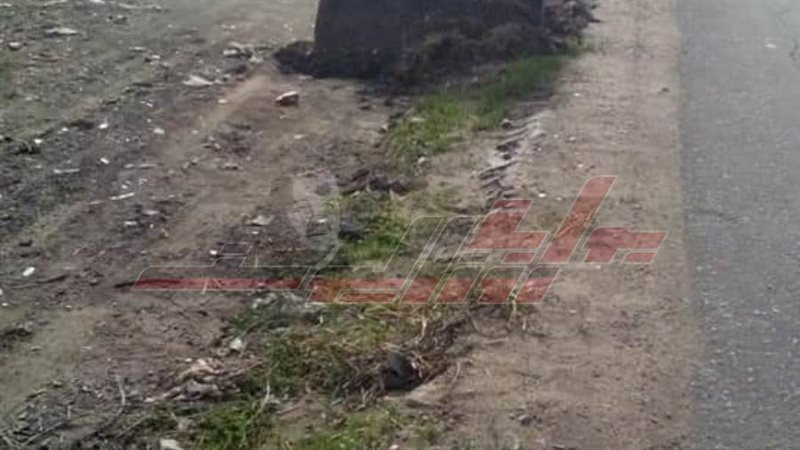 حملات كفرالشيخ