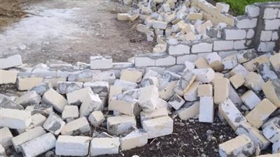 إزالة 7 حالات تعدٍ على المجاري المائية في حملة بالبحيرة