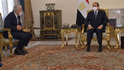 الرئيس السيسي يستقبل وزير خارجية إسرائيل