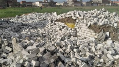 إزالة 10 حالات تعدٍ على الأراضي الزراعية في حملة بالبحيرة