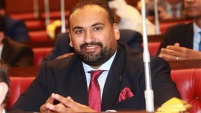 الرشيدي: مصر حققت إنجازات عديدة في مجال حقوق الإنسان في عهد السيسي