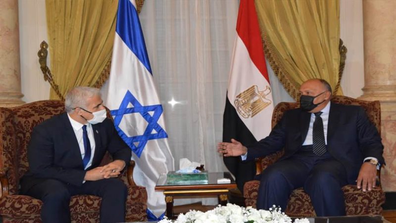 شكرى يستقبل وزير