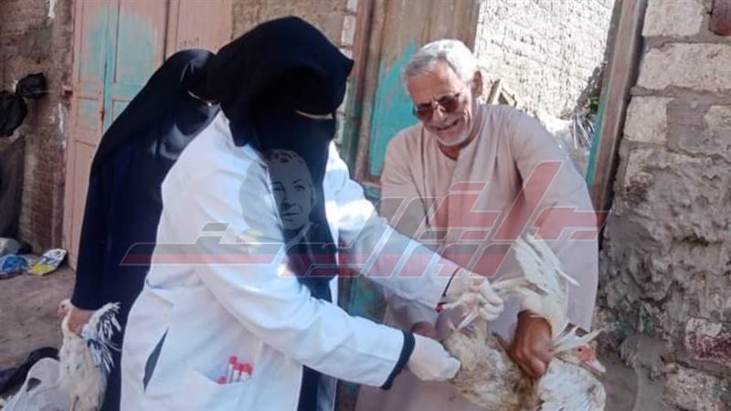 حملات التحصين