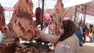 تحرير 137 محضرًا وضبط 3 أطنان لحوم بالشرقية 